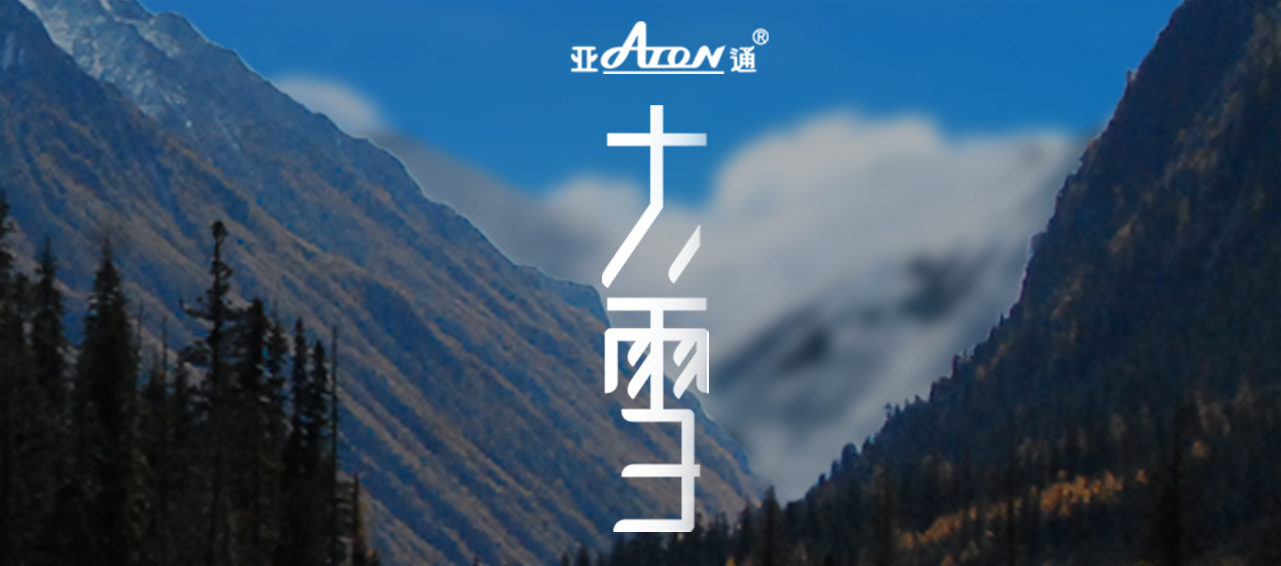 大雪 | 大雪漸寒，歲暮清歡