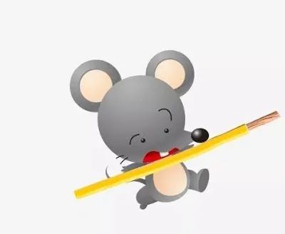 1715590359438967.jpg 6.jpg